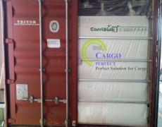 Carribulk Container Liner